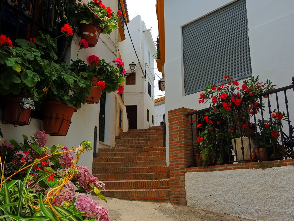 Foto: Rincones - Istán (Málaga), España