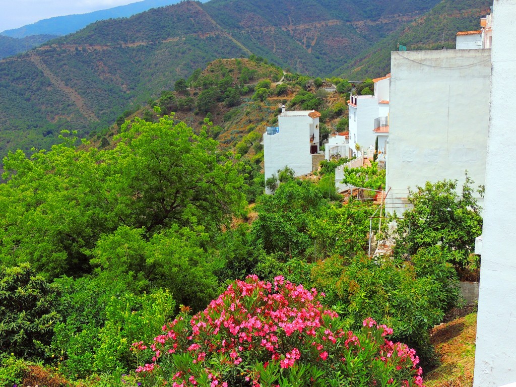 Foto de Istán (Málaga), España