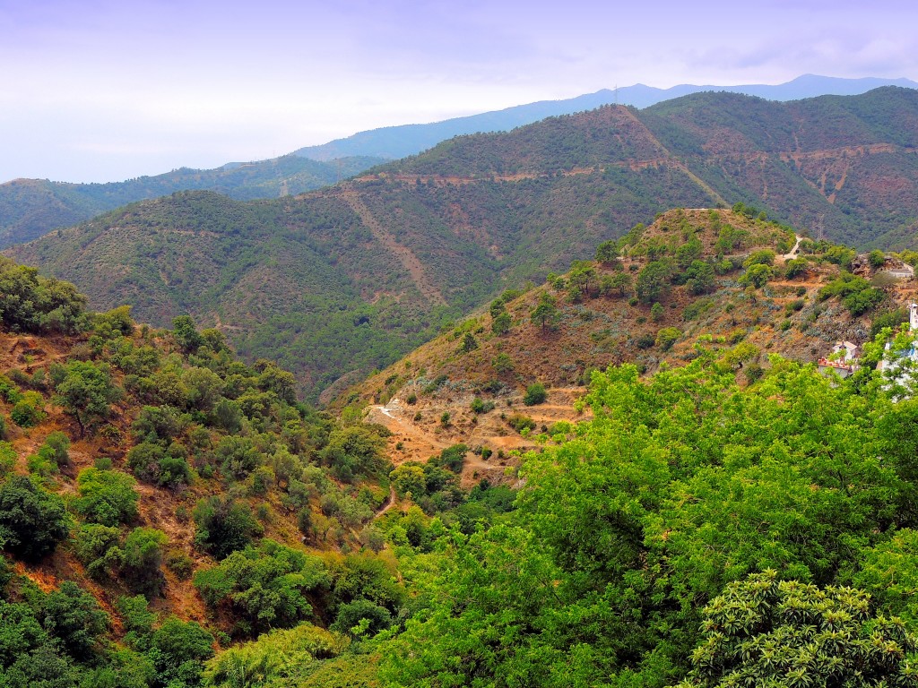 Foto de Istán (Málaga), España