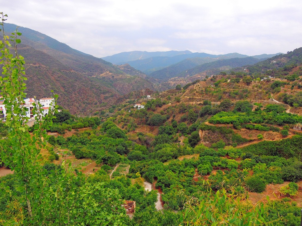 Foto: Las Huertas - Istán (Málaga), España