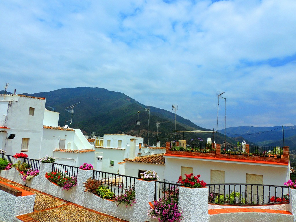 Foto: Detalles - Istán (Málaga), España