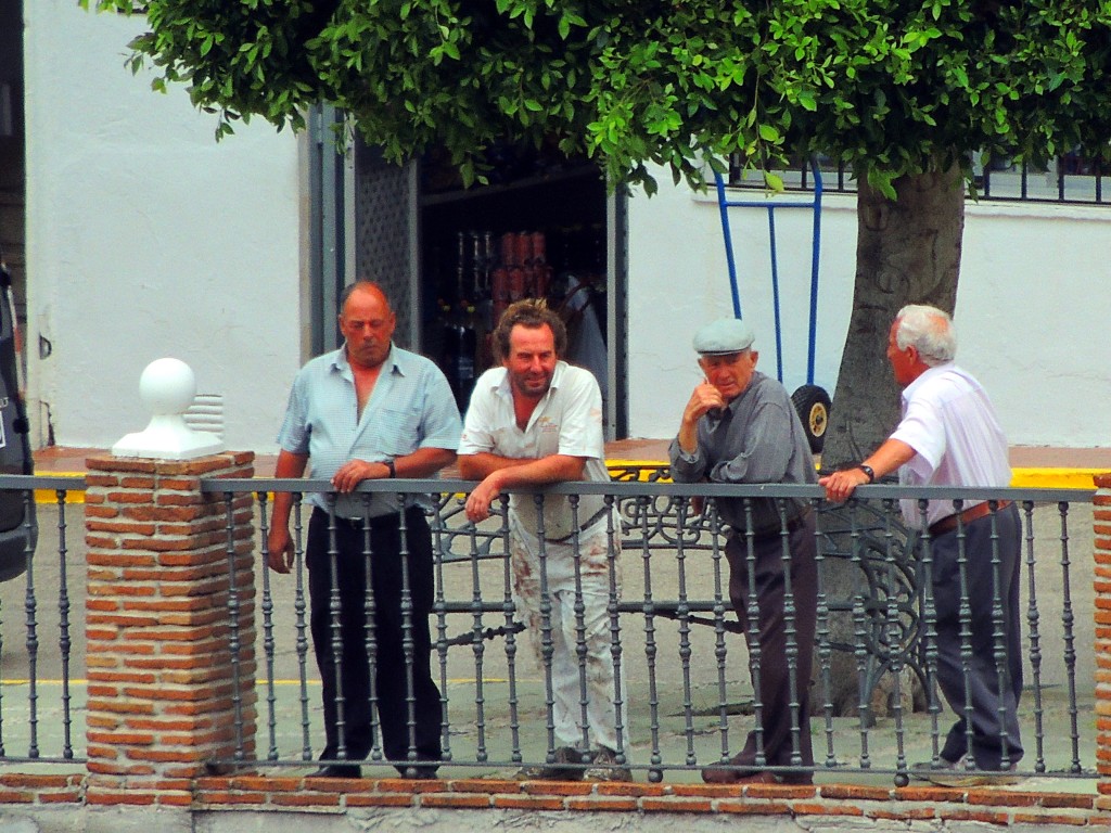 Foto: Panochos en el Mirador - Istán (Málaga), España