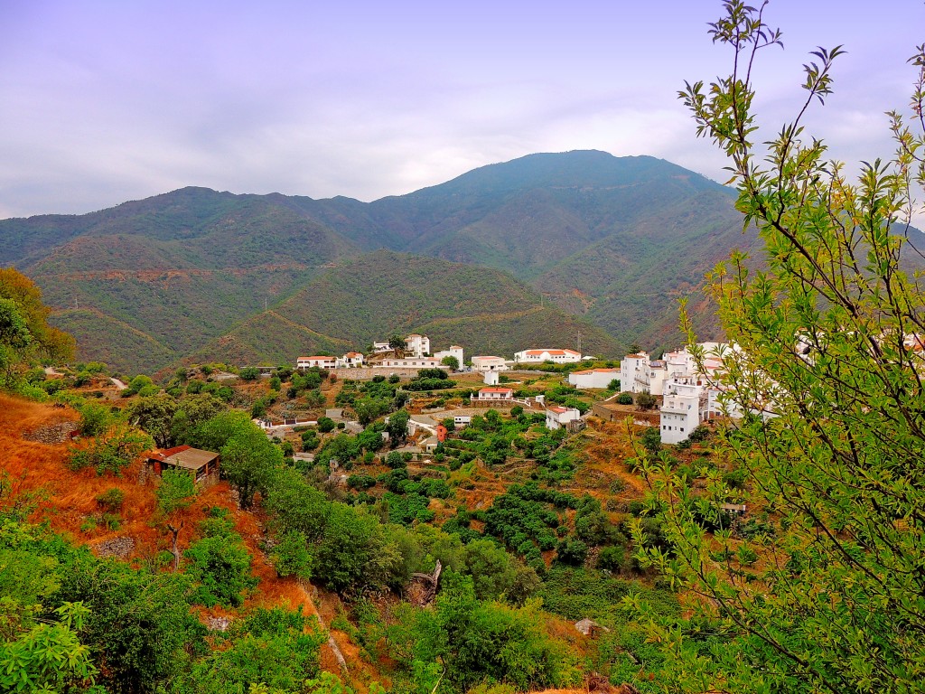 Foto de Istán (Málaga), España