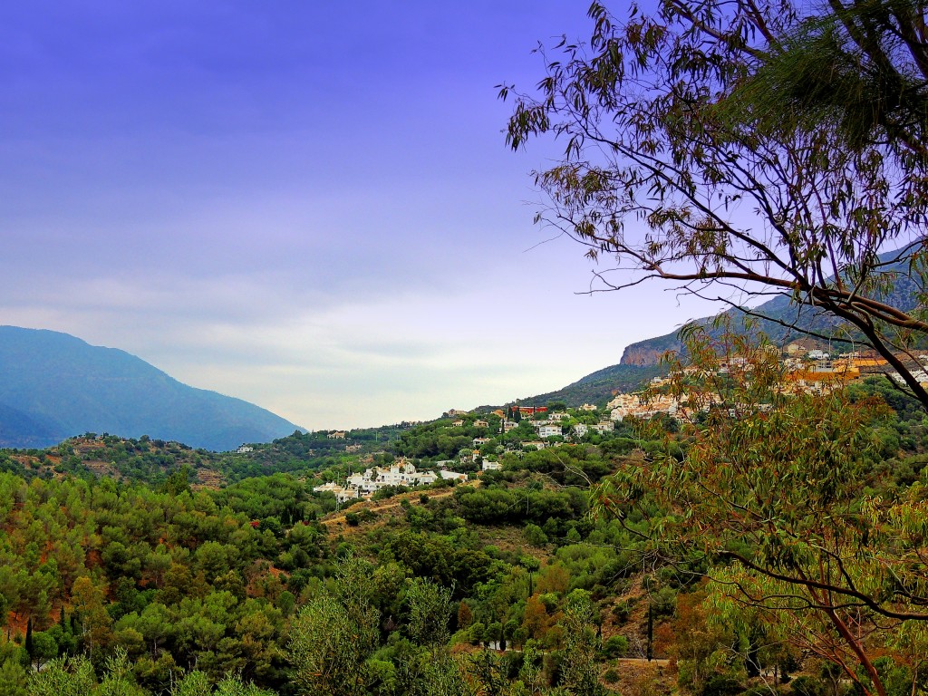 Foto de Istán (Málaga), España