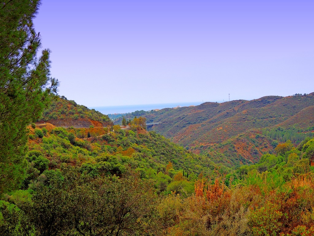 Foto de Istán (Málaga), España