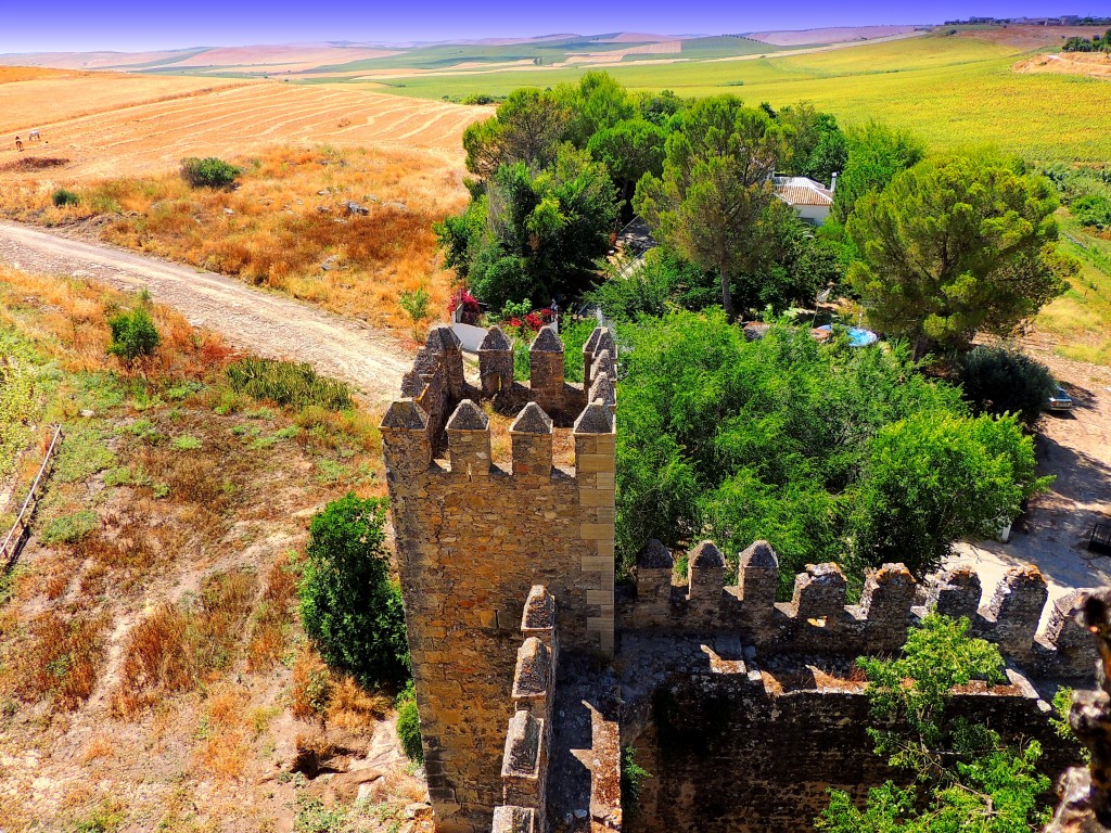 Foto: Castillo de las Aguzaderas - El Coronil (Sevilla), España