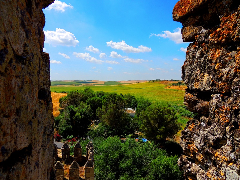 Foto: Vistas desde el Castillo - El Coronil (Sevilla), España