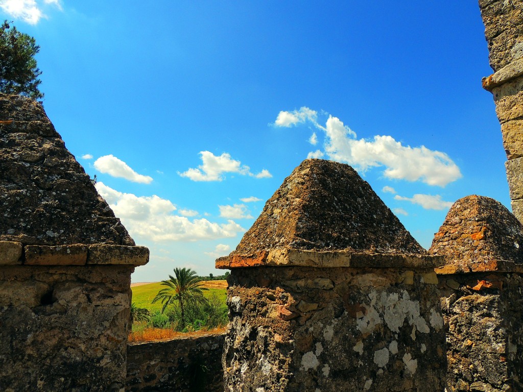 Foto: Castillo de las Aguzaderas - El Coronil (Sevilla), España