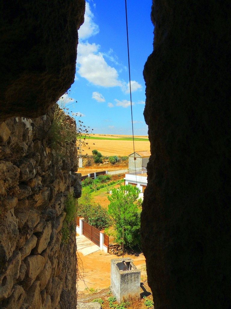 Foto: Vistas desde el Castillo - El Coronil (Sevilla), España