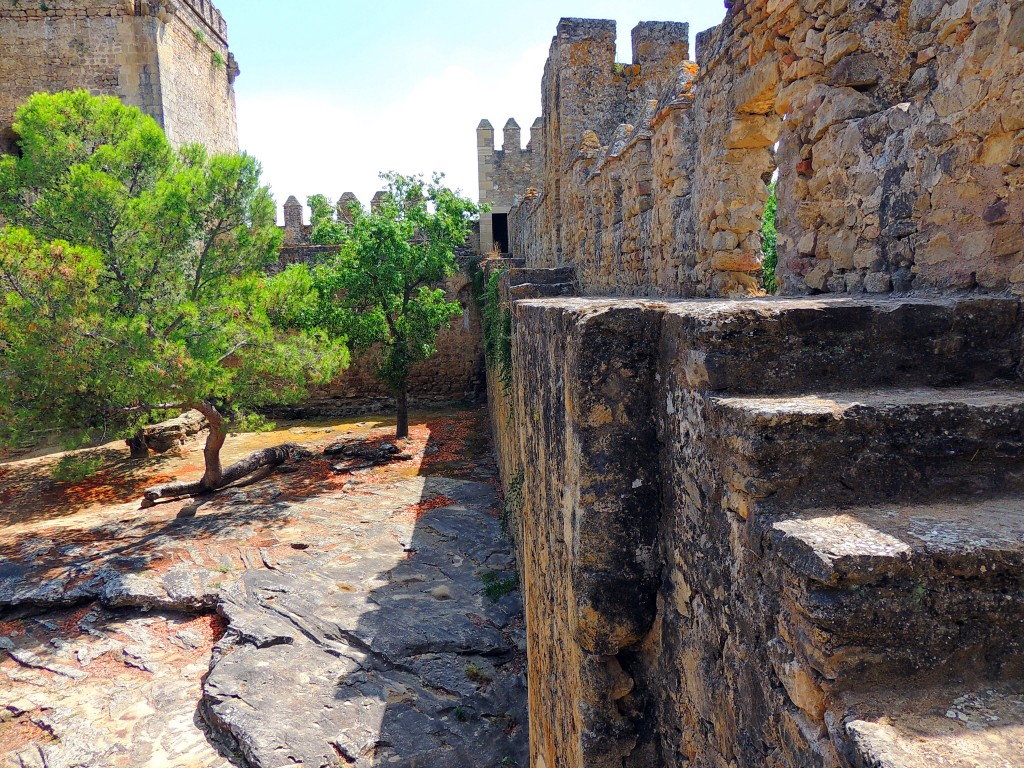 Foto: Castillo de las Aguzaderas - El Coronil (Sevilla), España