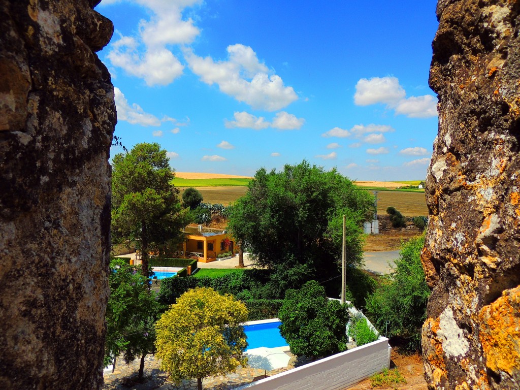 Foto: Vistas desde el Castillo - El Coronil (Sevilla), España