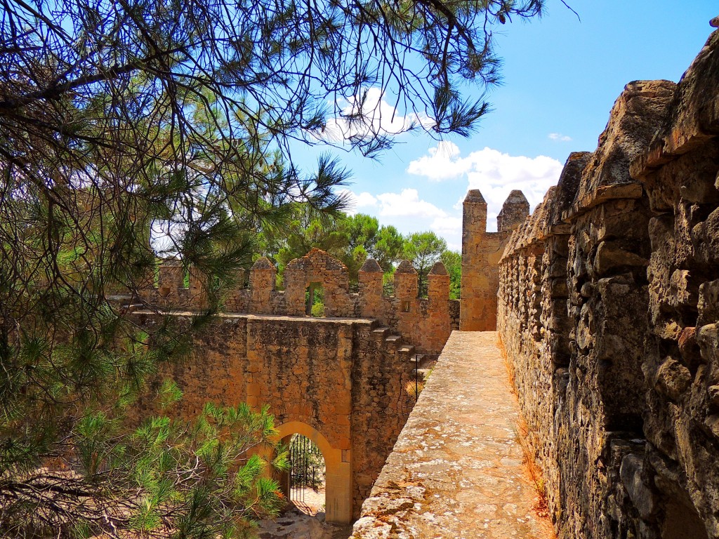 Foto: Castillo de las Aguzaderas - El Coronil (Sevilla), España