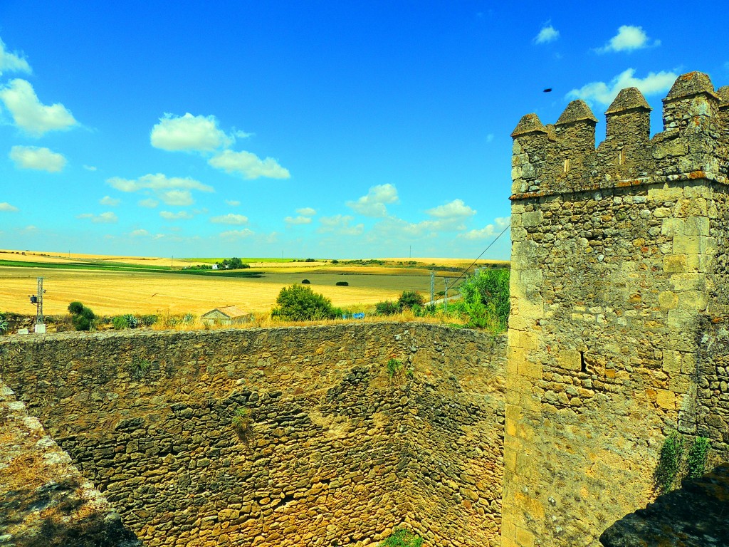 Foto: Castillo de las Aguzaderas - El Coronil (Sevilla), España