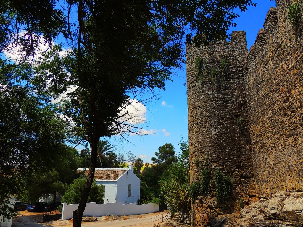 Foto: Castillo de las Aguzaderas - El Coronil (Sevilla), España