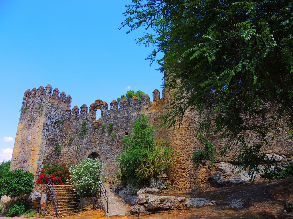 Foto: Castillo de las Aguzaderas - El Coronil (Sevilla), España