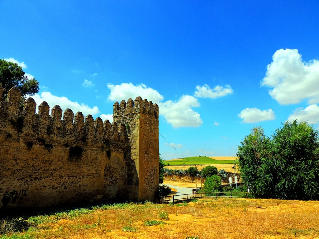 Foto: Castillo de las Aguzaderas - El Coronil (Sevilla), España