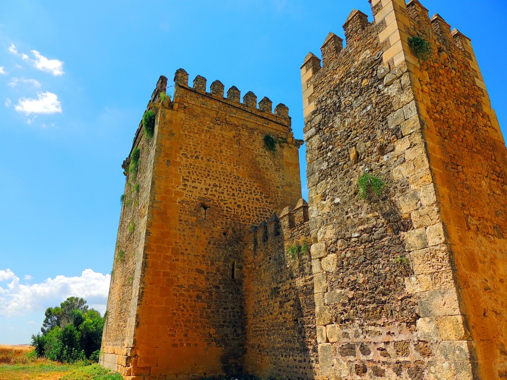 Foto: Castillo de las Aguzaderas - El Coronil (Sevilla), España