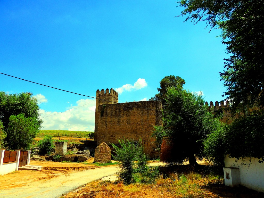 Foto: Castillo de las Aguzaderas - El Coronil (Sevilla), España