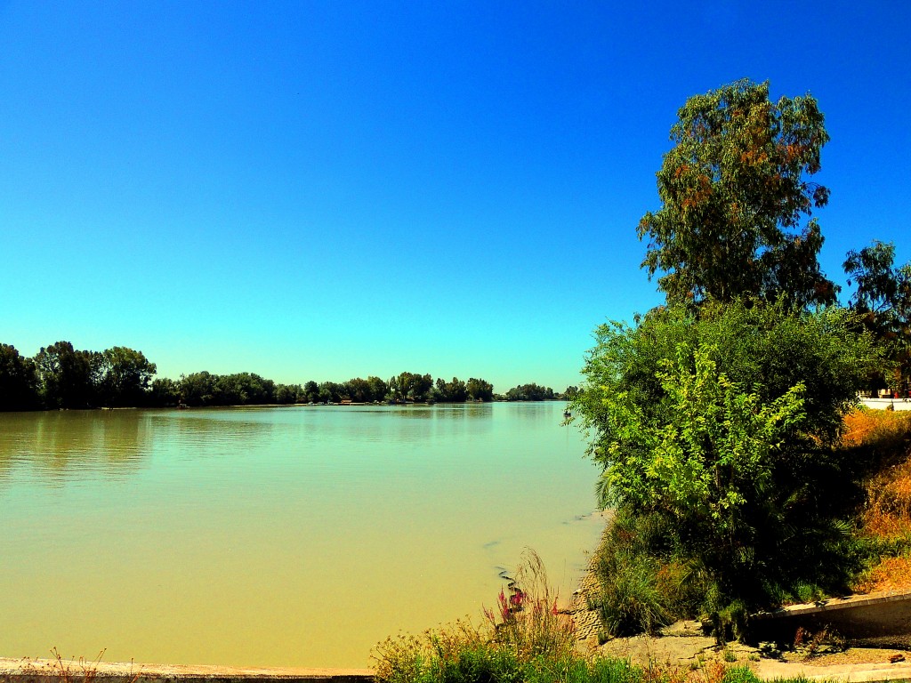 Foto: Río Guadalquivir - Coria del Río (Sevilla), España