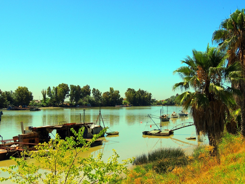 Foto: Barcas de Albures - Coria del Río (Sevilla), España