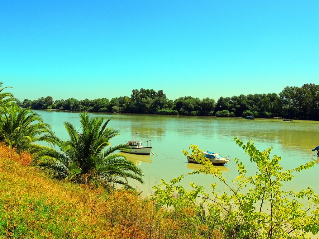 Foto: Embarcaciones de recreo - Coria del Río (Sevilla), España