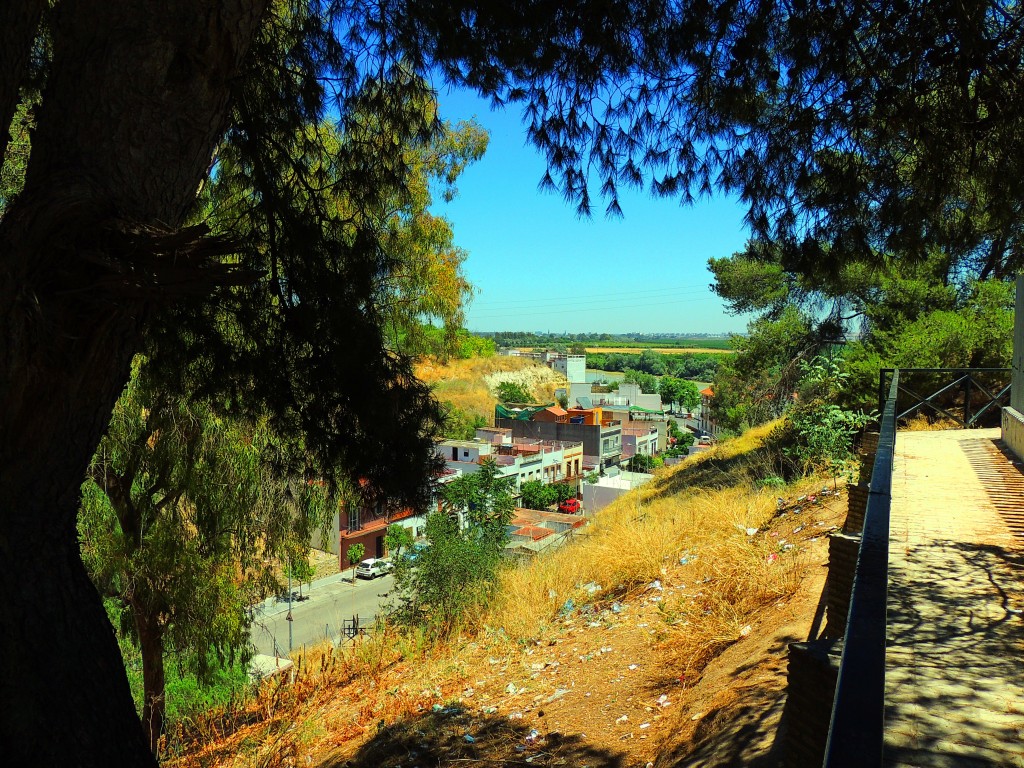 Foto de Coria del Río (Sevilla), España