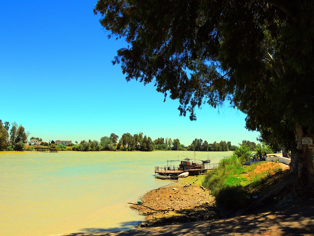 Foto de Coria del Río (Sevilla), España