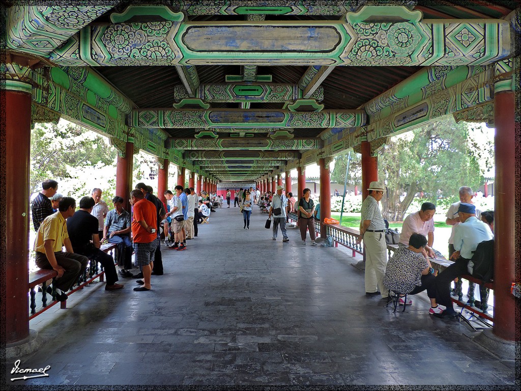 Foto: 140608-073 PEKIN TEMPLO DEL CIELO - Pekin (Beijing), China