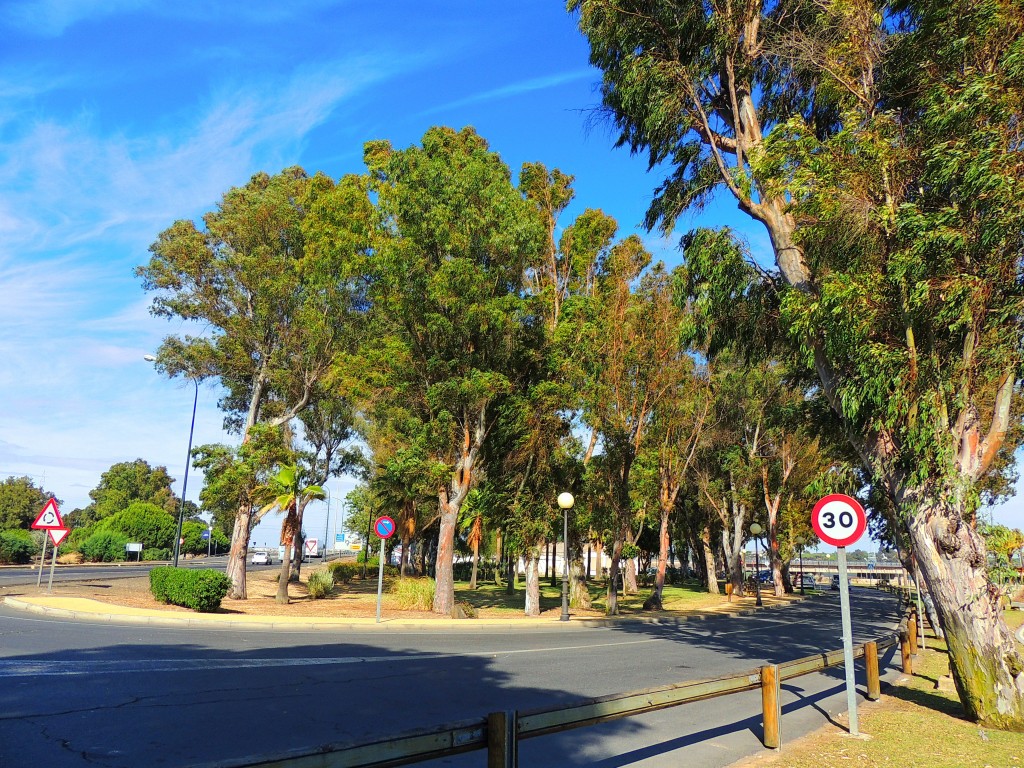 Foto: Avdª Frco. Montenegro - Huelva (Andalucía), España