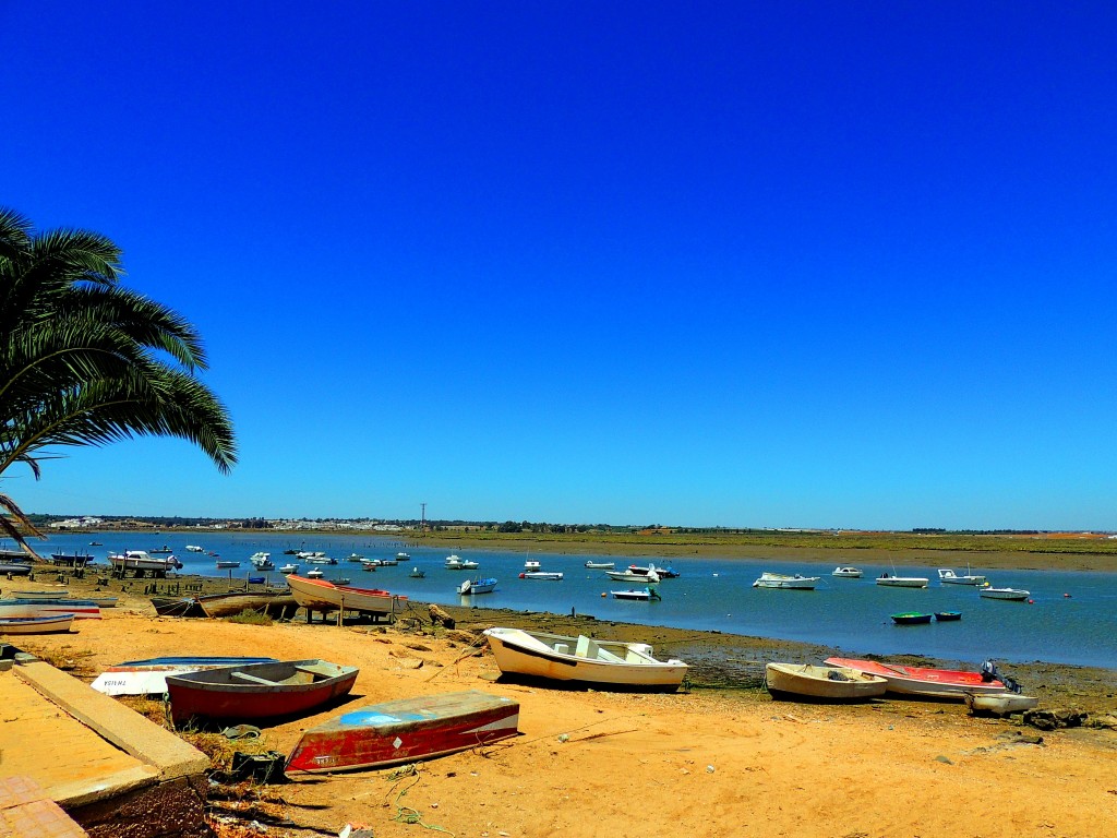 Foto: Río Carreras - Isla Cristina (Huelva), España