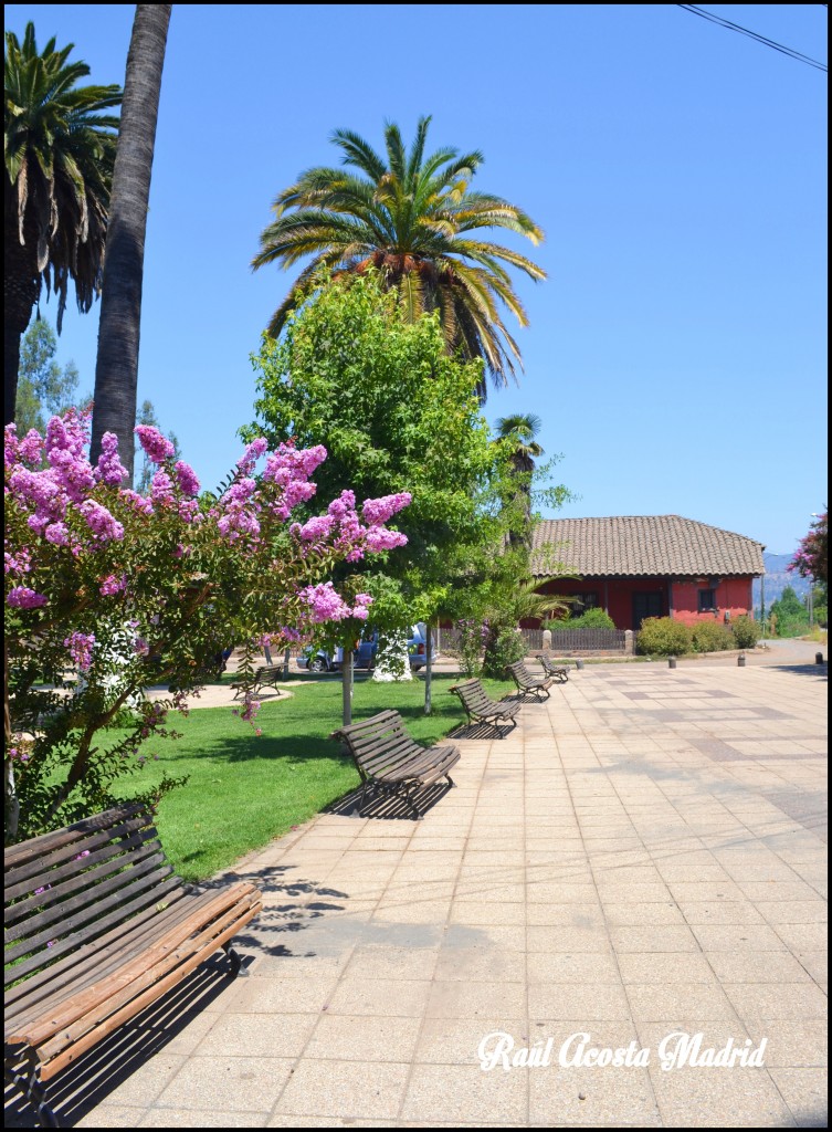 Foto de Guacarhue (Libertador General Bernardo OʼHiggins), Chile