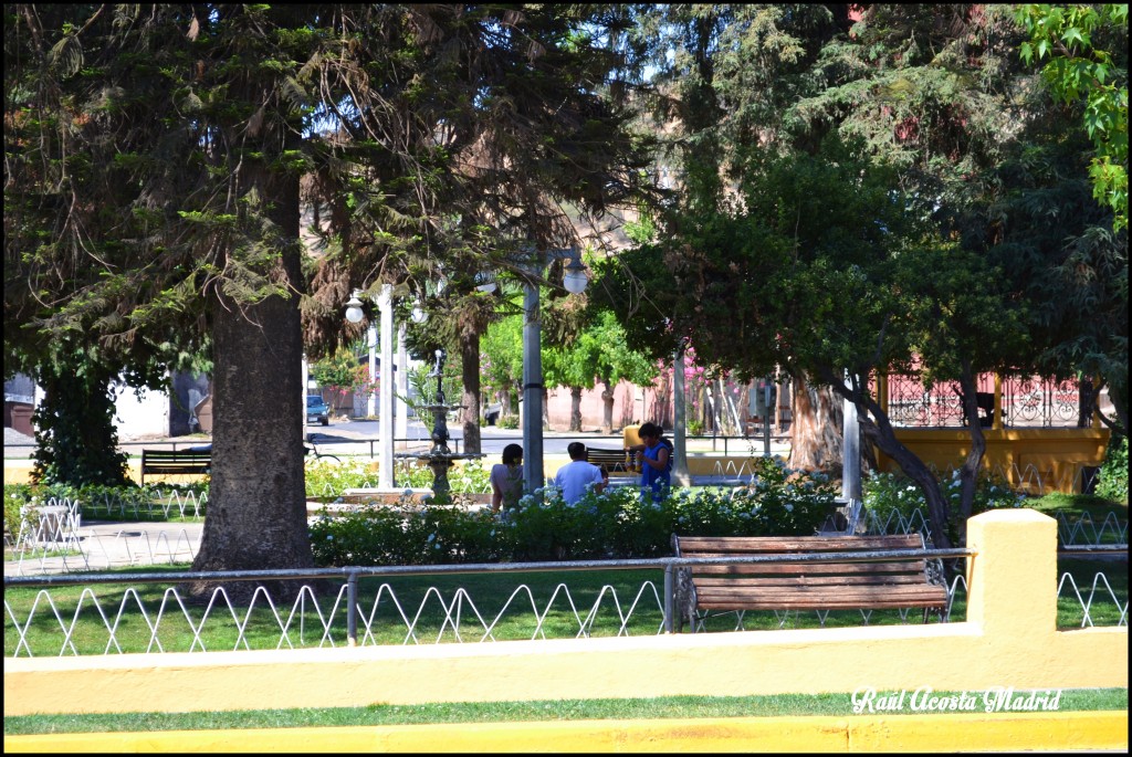 Foto de Malloa (Libertador General Bernardo OʼHiggins), Chile