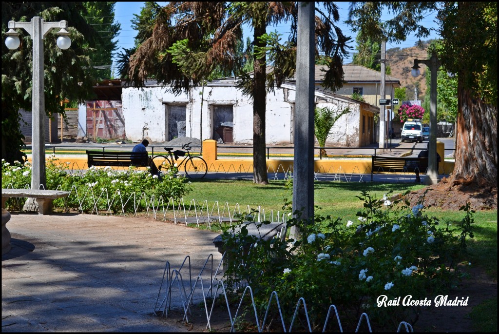 Foto de Malloa (Libertador General Bernardo OʼHiggins), Chile