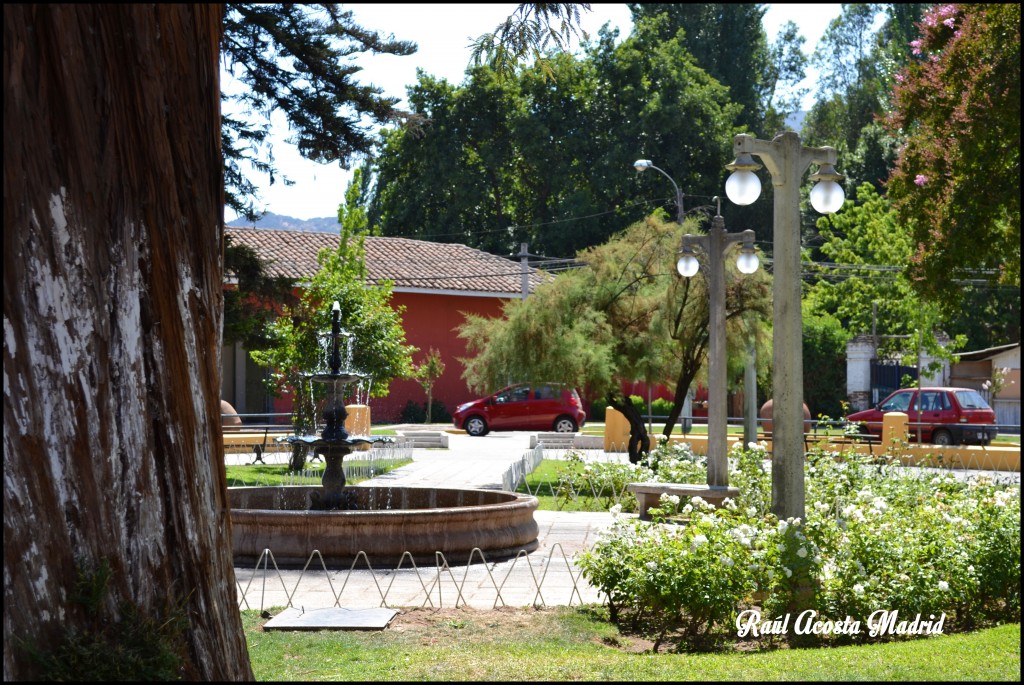 Foto de Malloa (Libertador General Bernardo OʼHiggins), Chile