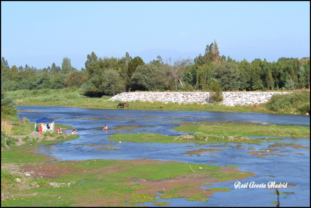 Foto de Quinta de Tilcoco (Libertador General Bernardo OʼHiggins), Chile