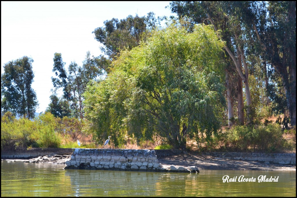 Foto de Lago Rapel (Libertador General Bernardo OʼHiggins), Chile