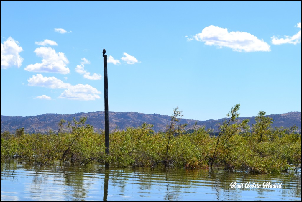 Foto de Lago Rapel (Libertador General Bernardo OʼHiggins), Chile