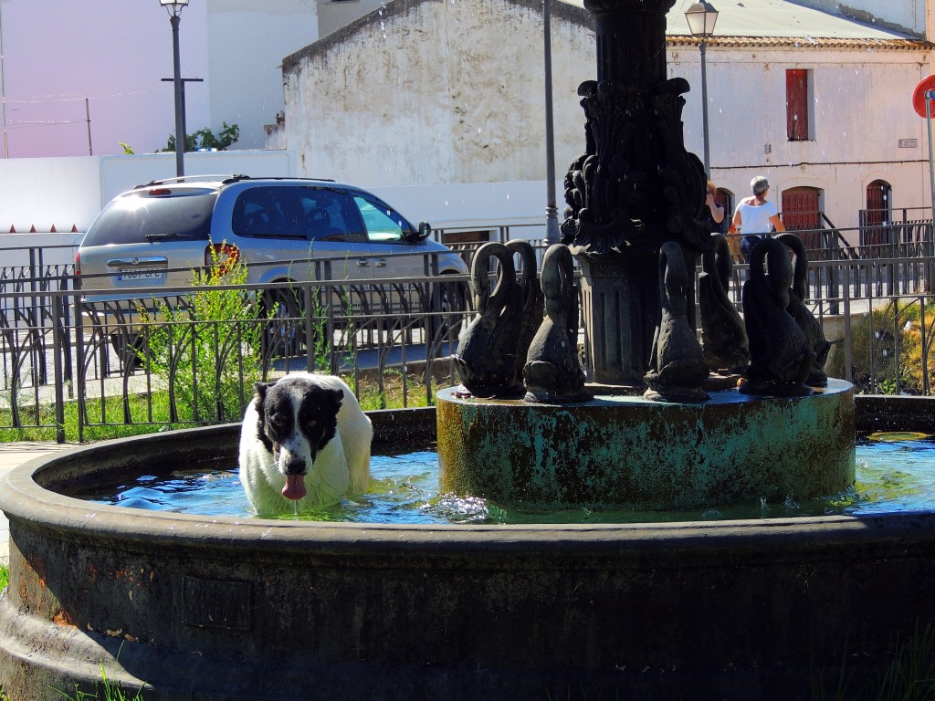 Foto de Lepe (Huelva), España