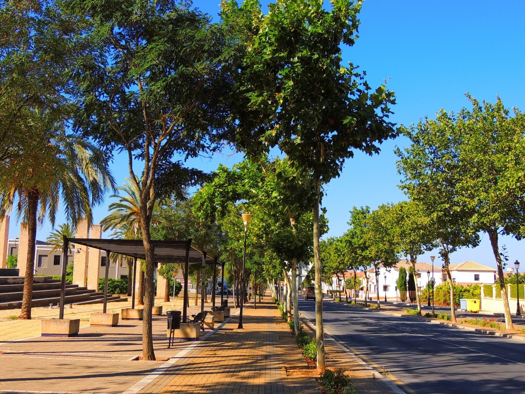 Foto de Lepe (Huelva), España