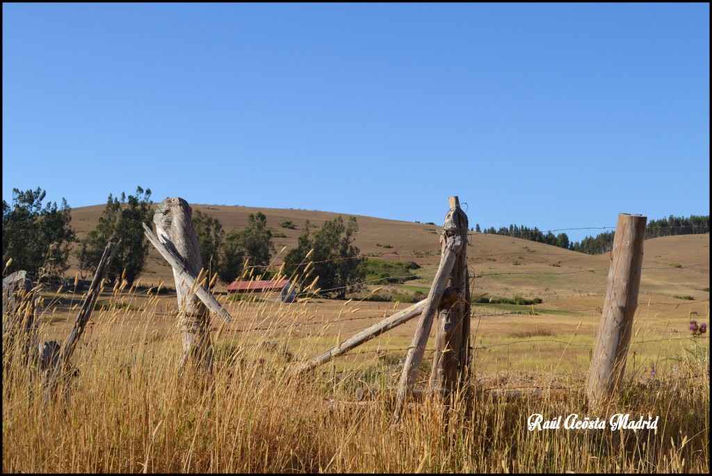 Foto de Paredones (Maule), Chile