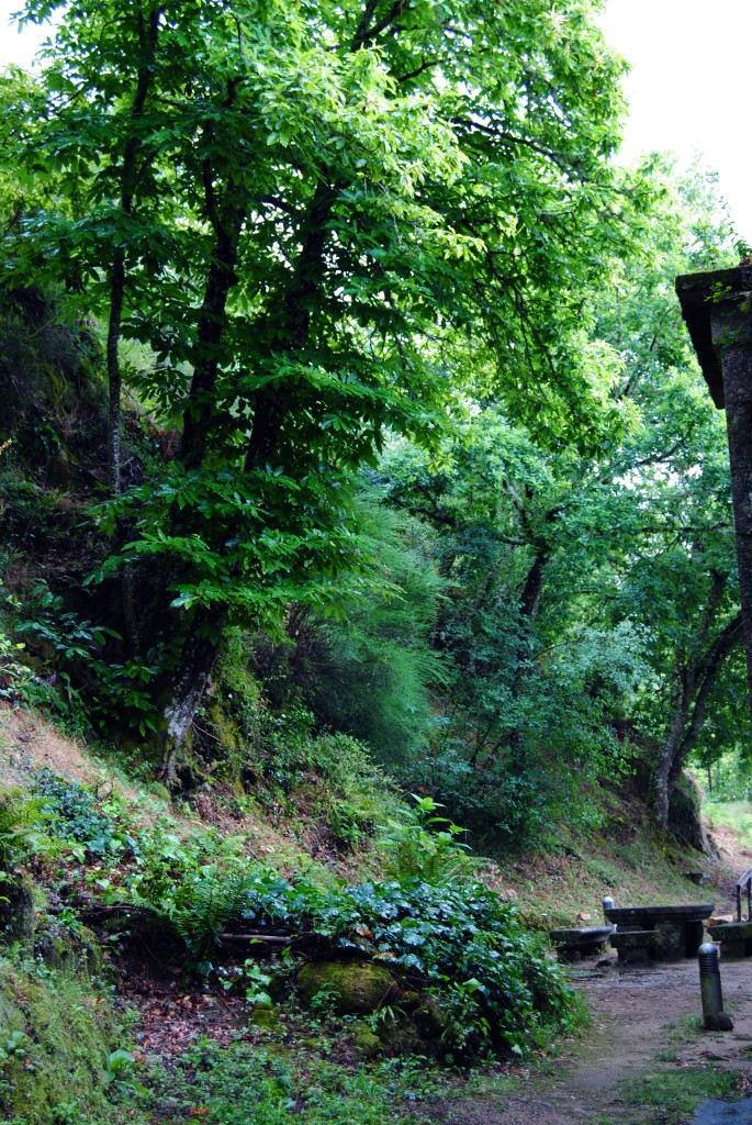 Foto de Monasterio San Pedro De Las Rocas (Ourense), España