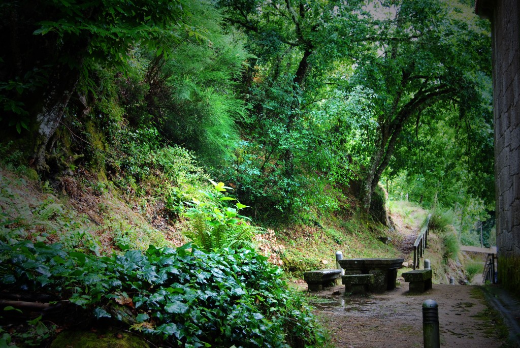 Foto de Monasterio San Pedro De Las Rocas (Ourense), España