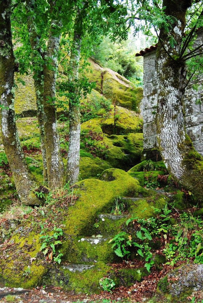 Foto de Monasterio San Pedro De Las Rocas (Ourense), España