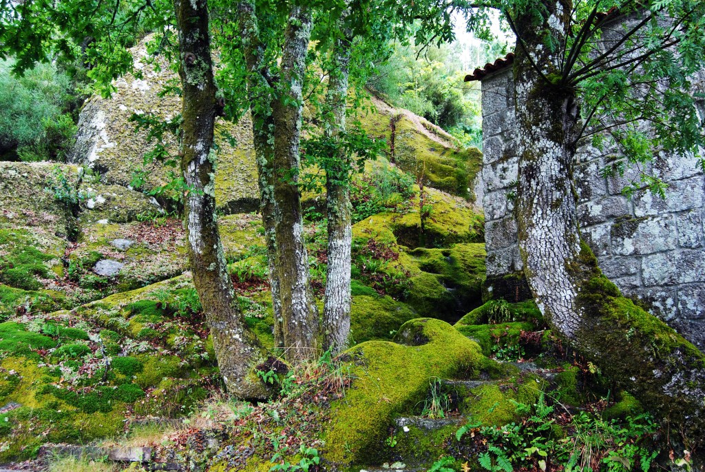 Foto de Monasterio San Pedro De Las Rocas (Ourense), España