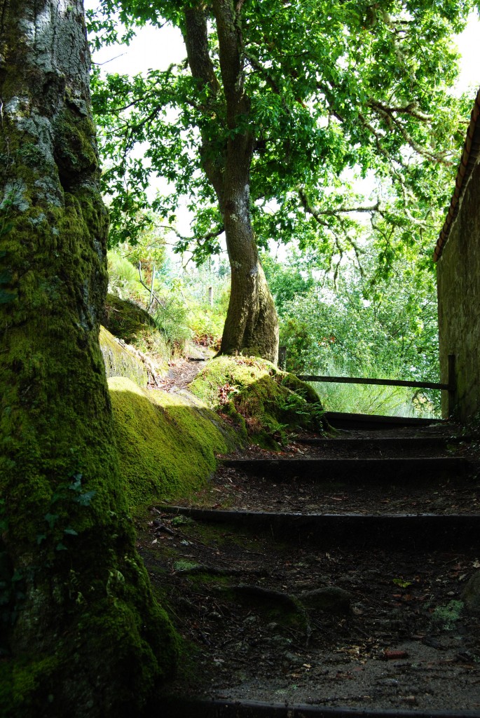 Foto de Monasterio San Pedro De Las Rocas (Ourense), España