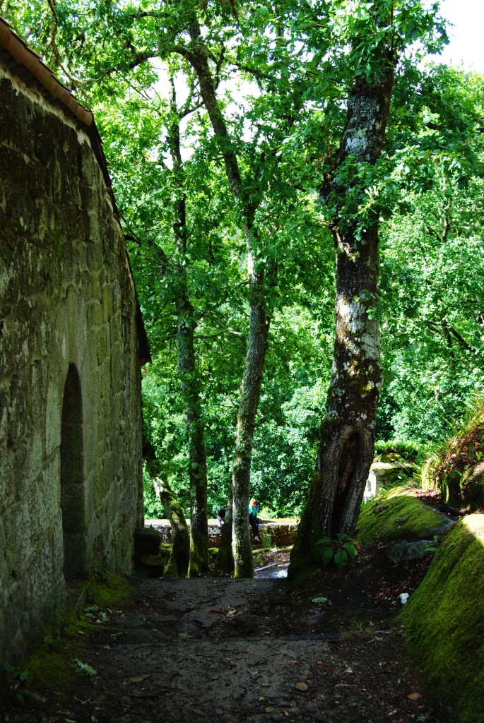 Foto de Monasterio San Pedro De Las Rocas (Ourense), España