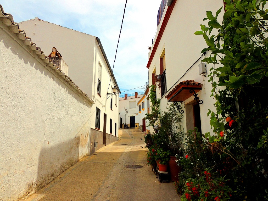 Foto de Torre Alhaquime (Cádiz), España