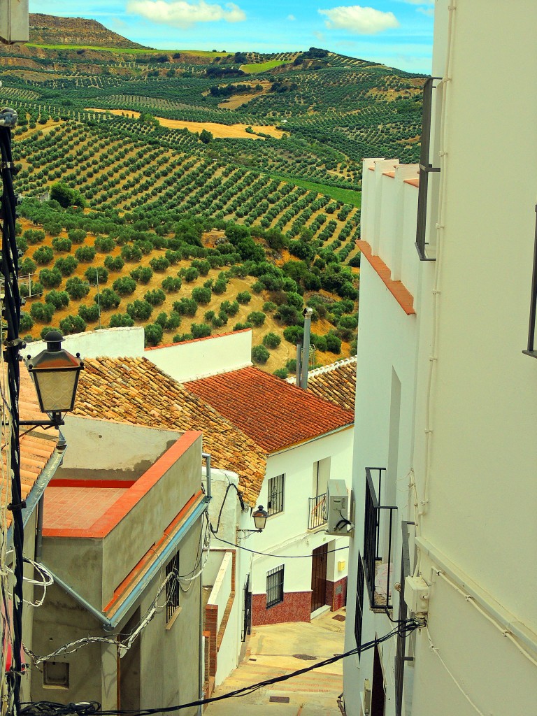 Foto de Torre Alhaquime (Cádiz), España