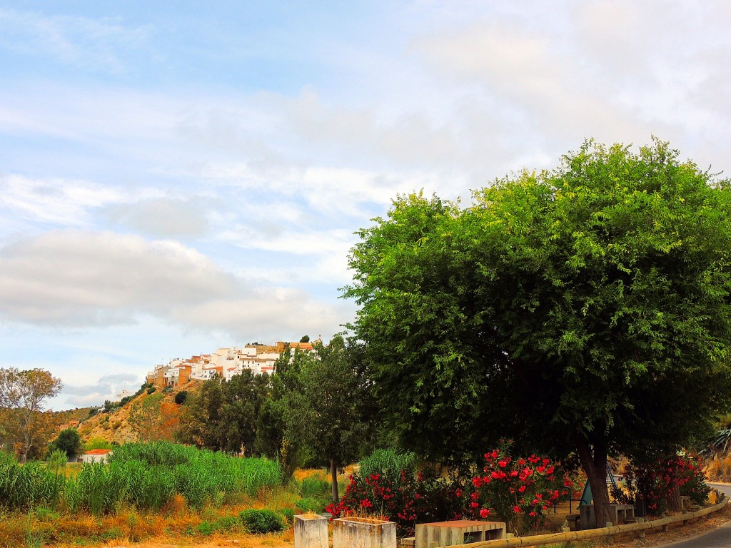 Foto de Torre Alhaquime (Cádiz), España