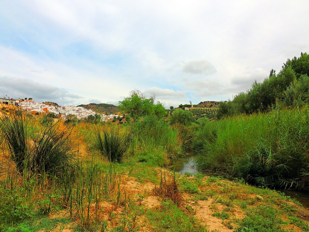 Foto de Torre Alhaquime (Cádiz), España